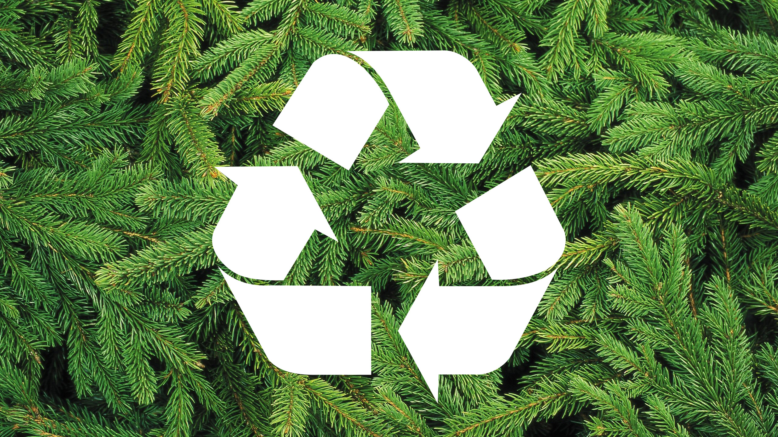 Recyclez votre sapin de Noël !