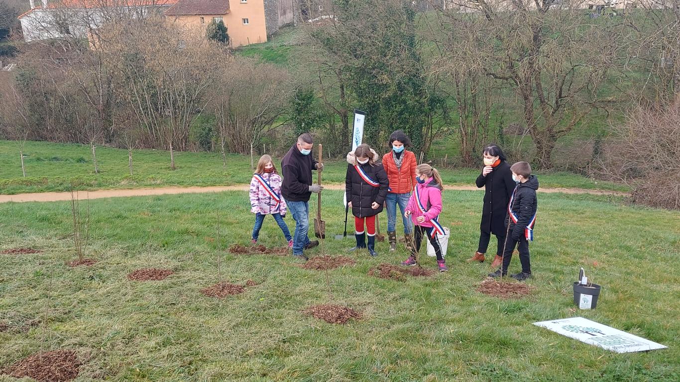 Opération 100 000 arbres