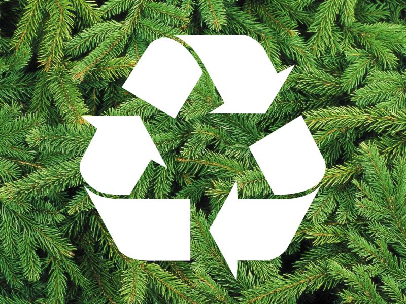 Recyclez votre sapin de Noël !
