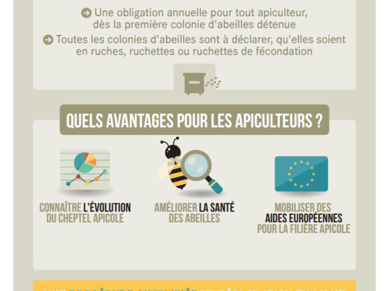 PENSEZ A DECLARER VOS RUCHES