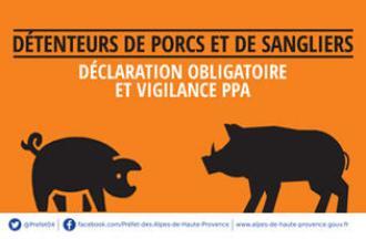 DÉTENTEURS DE PORCS OU DE SANGLIERS